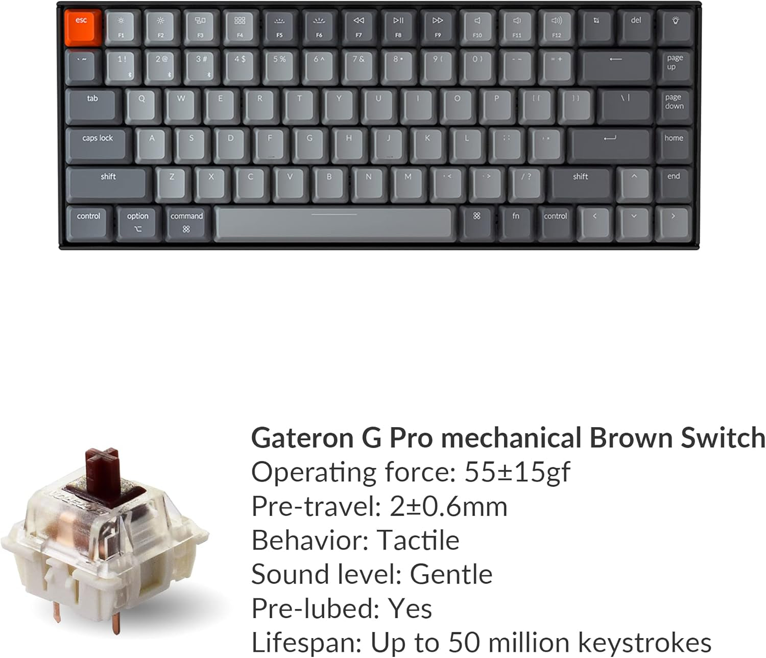 RGB Wireless Mechanical Keyboard for Mac or Windows